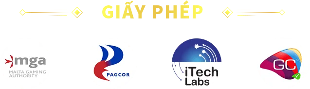 giấy phép hoạt động hi88.br.com